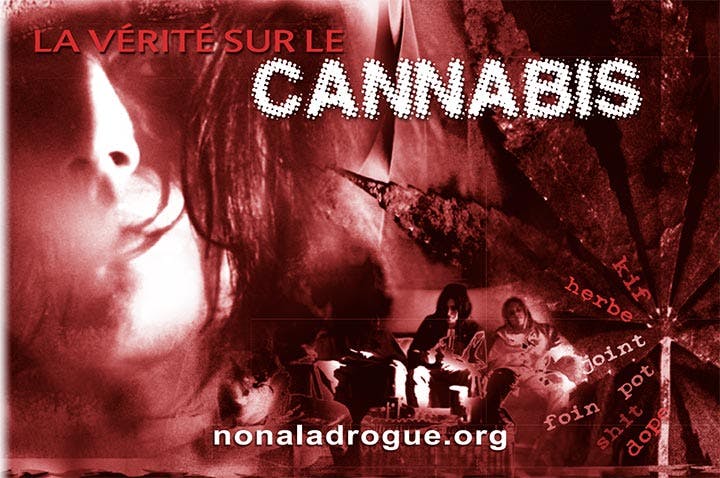 Livret PDF : La vérité sur le cannabis
