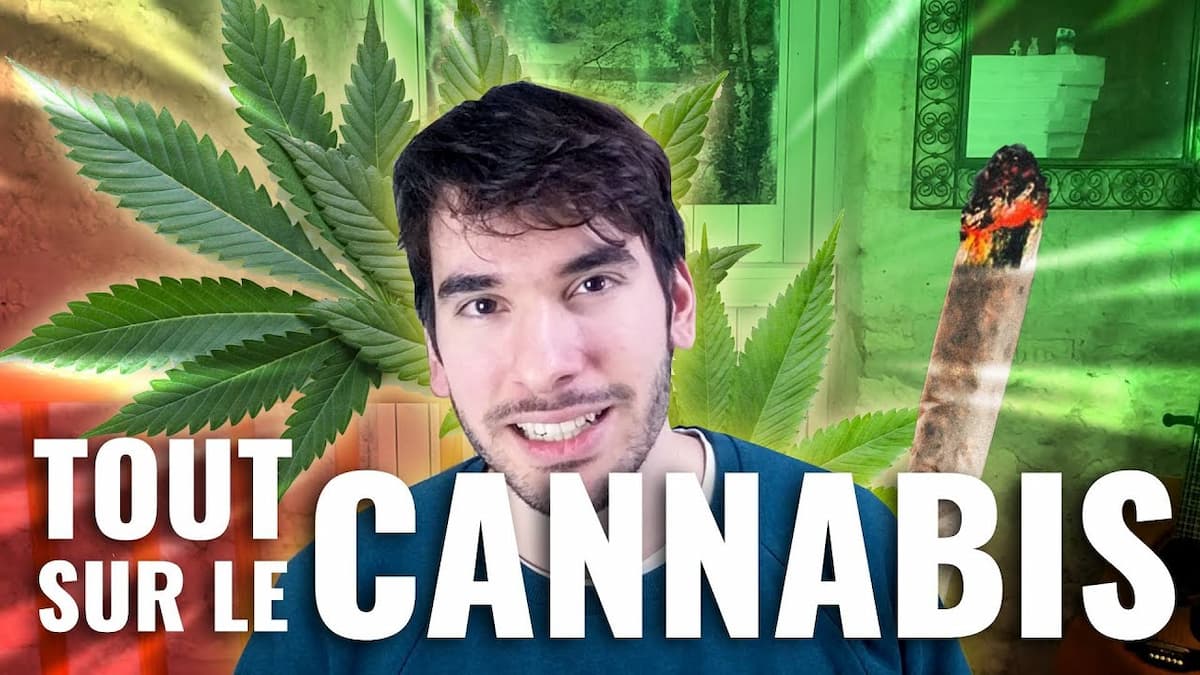 Tout sur le cannabis